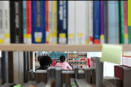 A audição contará com a presença de Maria José Moura e Henrique Barreto Nunes, bem como com representantes da Associação Portuguesa de Bibliotecários, Arquivistas e Documentalistas.