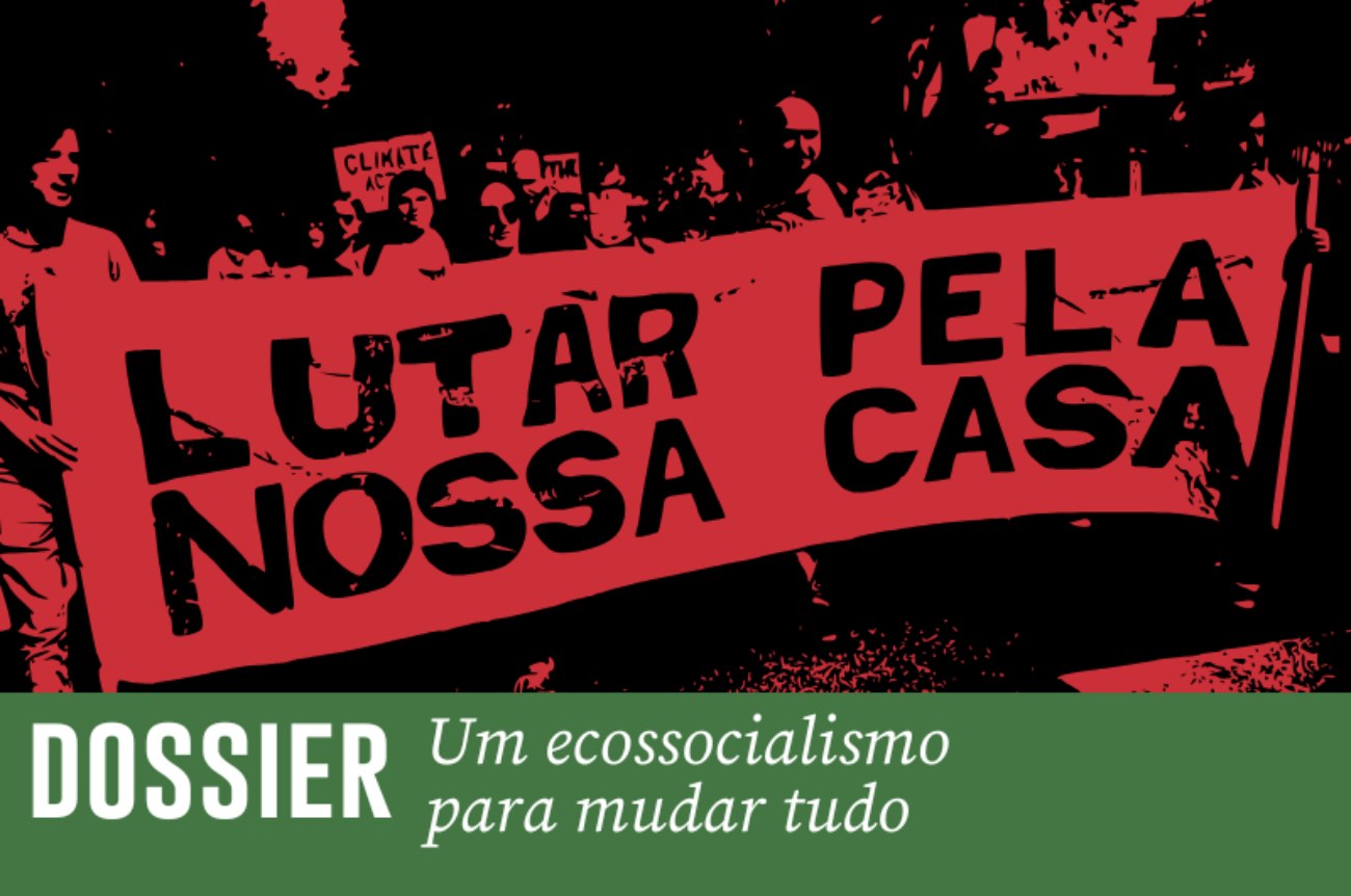 capa ecossocialismo