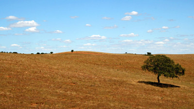 Alentejo.