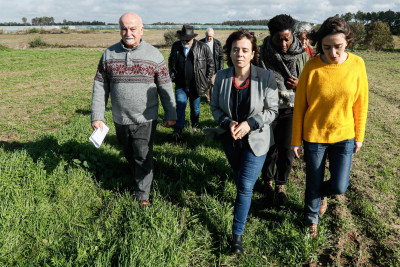 Visita às estufas no perímetro de rega do Mira, Odemira, Novembro de 2019.