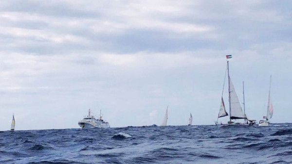 nova flotilha
