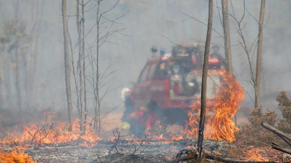 Incêndios em Pedrógão Grande. Foto de Foto de ANDRE KOSTERS/EPA/Lusa.