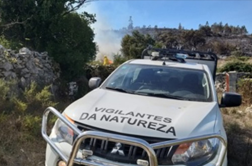 Vigilantes da Natureza.