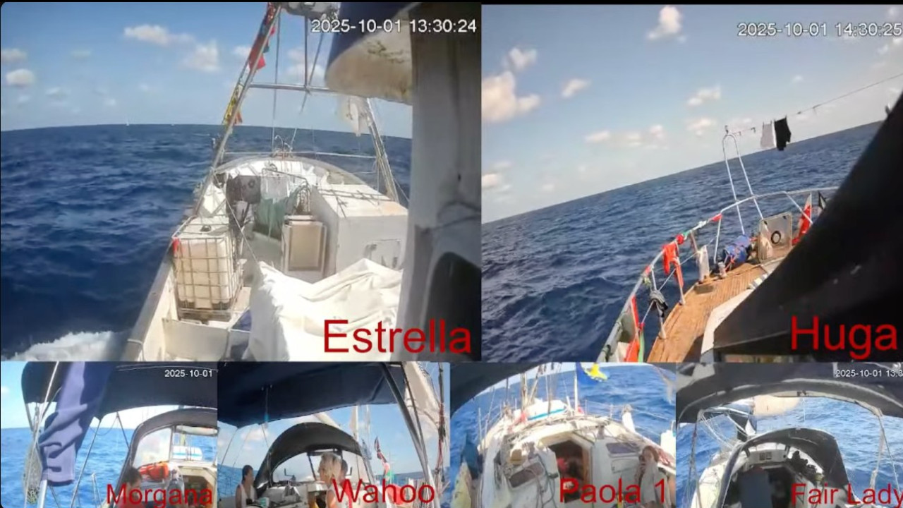 Flotilha em direto